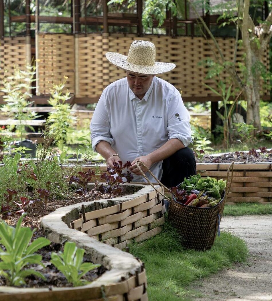Nay Palad Food and Beverage, Culinary Experiences